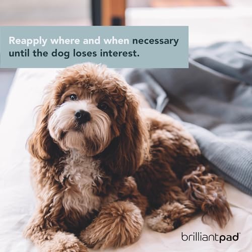 BrilliantPad No No! Bitter Chew Deterrent Spray for Dogs & Puppies (4oz)