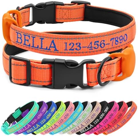 Personalized Nylon Dog Collar with Embroidered Name, Orange