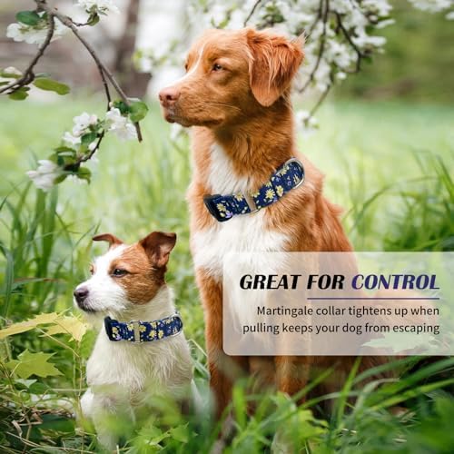 Hikiko Martingale Collar for Dogs with Special Pattern,Adjustable,S