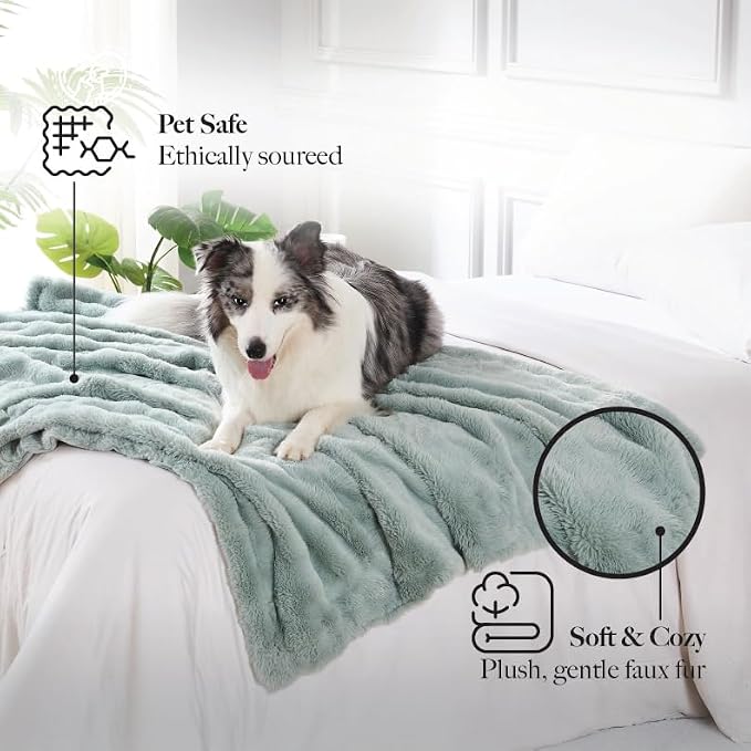 Modern Threads Water-Resistant Faux Rabbit Fur Pet Blanket for Dogs & Cats – Ultra-Soft Couch, Bed & Crate Protector, 40x50 Light Blue