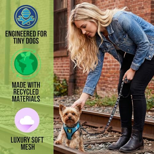 EcoBark Step in Dog Harness - Eco-Friendly Teacup Dog Harnesses for XXS, XS, and Small Dogs - Reflective and Adjustable Mini Body Halter Vest -Tiny Soft Mesh Toy Breed Harness (Aqua Sport, XXS)