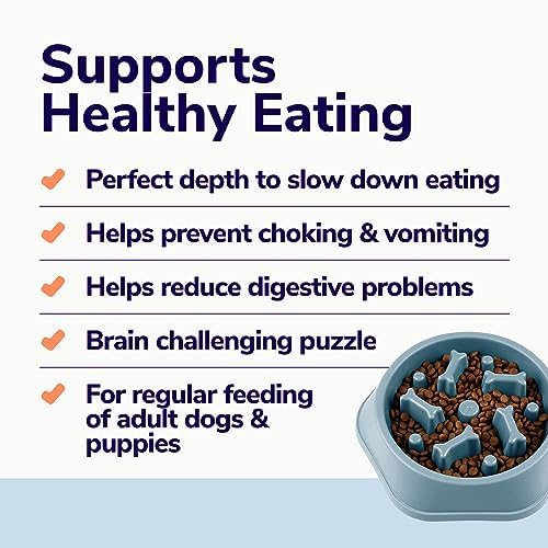Miracle Vet Slow Feeder Dog Bowls for Fast Eaters - for Small, Medium Sized Dogs - Dog Puzzle Maze Helps Slow Down Eating - Adult, Puppy Food Bowl for Bloat Stop - Non-Slip Feeder Bowl (Blue)