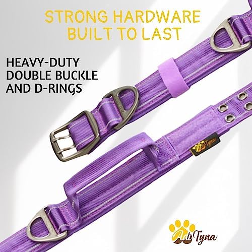 ADITYNA Heavy Duty Purple Dog Collar for Medium Dogs with Traffic Handle