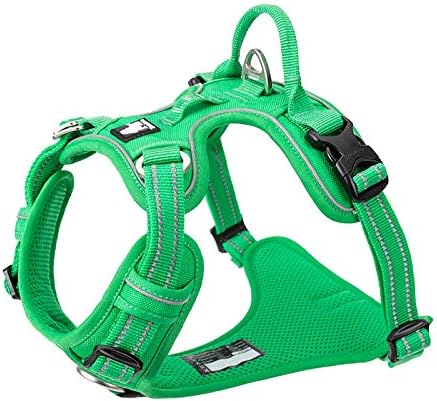 WINHYEPET True Love No Pull Dog Harness Extra Reflective Pet Harness for Small Medium Large Dogs Adjustbale for Running Walking Padded Soft Mesh Vest Easy Control TLH56512(Grass Green,S)