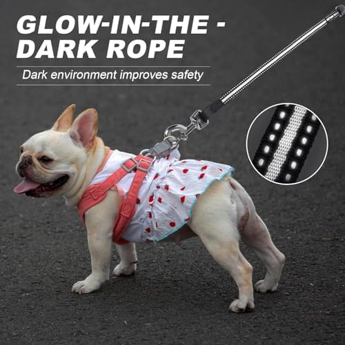Retractable Dog Leash, 30 FT/ 20 FT Dog Walking Leash for Small Medium Large Dogs up to 77 lbs/ 44 lbs, Heavy Duty No Tangle (Black, 20 FT (0-44 lbs))