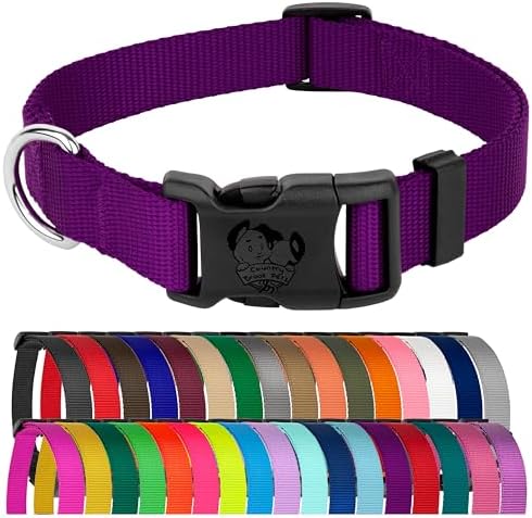Country Brook Petz - Everyday Nylon Dog Collar for Large, Medium, and Small Dogs and Puppies - for Everyday Use in 30+ Colors (Large, 1 Inch Wide, Purple)