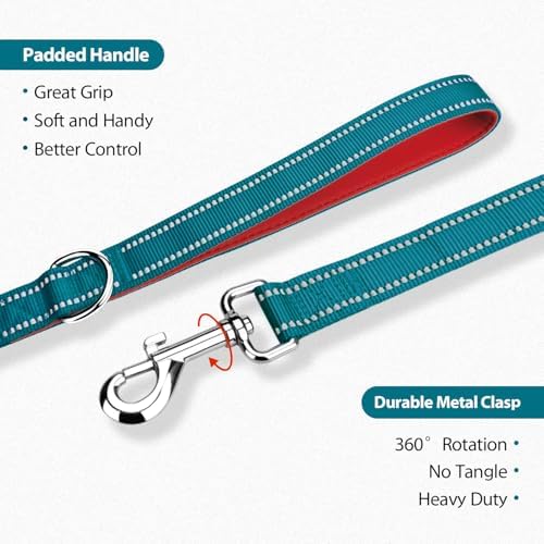 PHOEPET 5 Feet Dog Leash with Comfortable Padded Handle Easy Snap Clasp