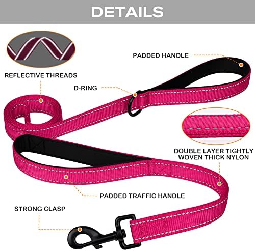 Joytale Dog Leash for Large Dogs that Pull, Double Handle, 6FT, Hot Pink