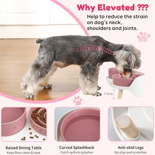 Elevated Slow Feeder Dog Bowls with Splash Proof Stand, Slow Eating 5X
