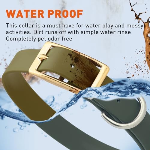 Viper Biothane Heavy Duty Waterproof Dog Collar Strong Coated Nylon Webbing w/Solid Brass Hardware Odor-Proof Easy to Clean High Performance Fits Small Medium or Large Dogs, Olive Drab Green