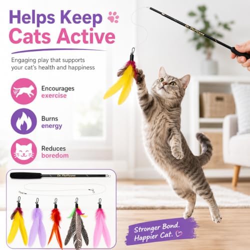 Cat Wand Toy with 5 Feather Attachments – Interactive Cat Teaser Wand & Cat Fishing Pole Toy for Indoor Cats, Feather Cat Toy for Exercise, Chase & Play, Fun Kitten Toys for Bored Cats