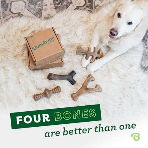 Benebone Medium 4-Pack Dog Toys for Aggressive Chewers – Under 60 lbs