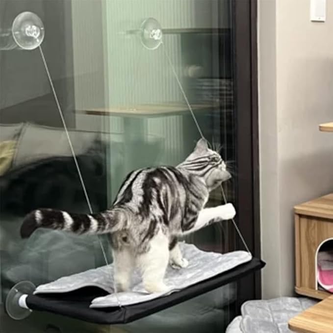 Black Cat Hammock for Window Cat Window Bed for Indoor Cats | Cat Window Perch Suction Cups Cat Window Hammock Space Saving Window Seat for Cats Inside