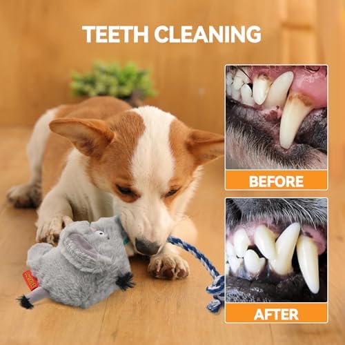 AUSCAT Plush Dog Rope Toy, Durable Squeaky Dog Toys for Puppy Small Medium Dogs (Not for Aggressive Chewers), Elephant