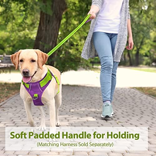 PHOEPET 5 Feet Dog Leash with Comfortable Padded Handle Easy Snap Clasp