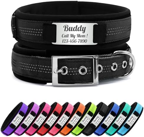 Personalized Nylon Dog Collar with Name Tag (Black, L)