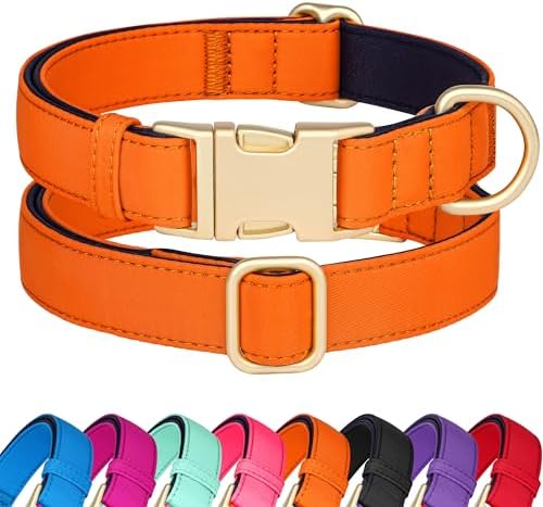 Didog Soft Padded Dog Collar for Small Dogs, Orange, S Neck 10-15"
