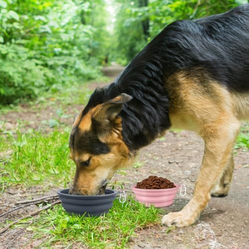 Kytely Collapsible Dog Bowls X-Large (1500ml), 2 Pack Foldable Travel Bowls, Portable Dog Water Food Bowl with Clasp, Pet Feeding Cup Dish for Traveling, Walking, Hiking (Pink+Grey)