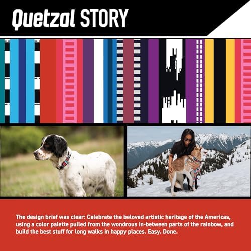 Wolfgang Heavy Duty, Adjustable Dog Collar with Quick Release Nylon Buckle for Walking & Training, Quetzal Print, Large