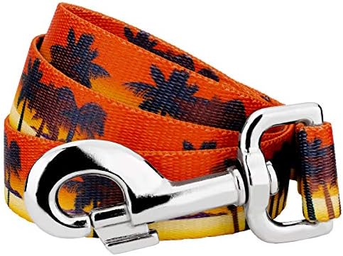 Country Brook Petz - Caribbean Sunset Everyday Dog Leash - Summer Breeze Collection Featuring Sunny Designs (4 Foot, 1 Inch Wide)