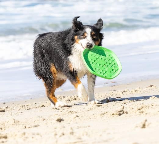 PROJECT HIVE ·PET COMPANY· Dog disc - Great for Fetch - Includes a Lick mat on Back - Floats in Water, Smooth Glide - Made in The USA (Tropical Coconut)