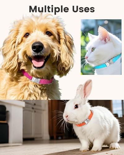 Silent Dog Collar Personalized with Name Phone Number Laser Engraved