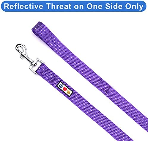 Pawtitas Purple Dog Leash 6 ft XS/S Reflective Durable Lightweight Dog Lead for Small Dogs and Puppies