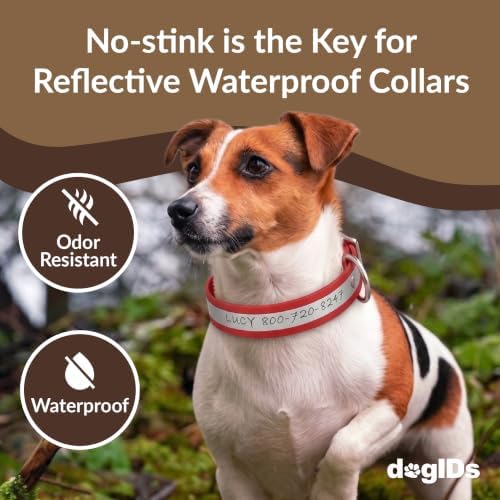 dogIDs Personalized Reflective Waterproof Dog Collar - Custom, Durable, Adjustable, Odor Resistant, Safe, Engraved - Red, 1 in x 14 in (Fits Neck Sizes: 12-16 in)