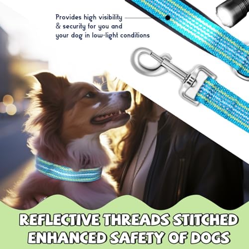 Reflective Dog Collar and Leash Set, Nylon Dog Leash with Heavy-Duty Steel D-Ring, Adjustable with Quick Release Buckle for Small Dogs,Cyan S
