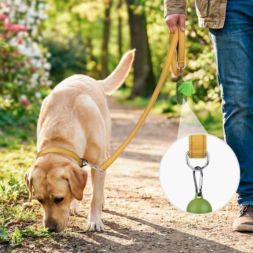 Joytale Reflective Dog Leash for Medium & Large Dogs, 6 FT x 1", Khaki