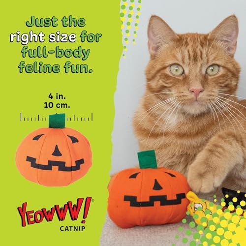 Yeowww! Catnip Haloween Pumpkin Catnip Cat Toy - 3 in toy for cats - 100% Stuffed with Premium Organically Grown Catnip, Made in USA