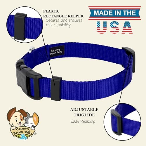 Country Brook Petz - Everyday Nylon Dog Collar for Large, Medium, and Small Dogs and Puppies - for Everyday Use in 30+ Colors (Extra Large, 1 Inch Wide, Bright Royal Blue)