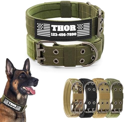Tactical Dog Collar with Name Patches, Olive Green: XL