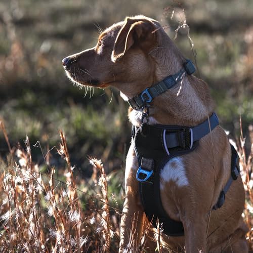 Embark No Pull Dog Harness, Reflective Adjustable Training Vest, No Choke