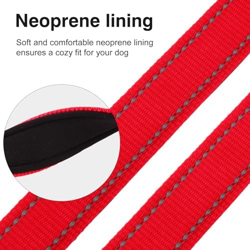 Personalized Nylon Dog Collar with Embroidered Name, Orange