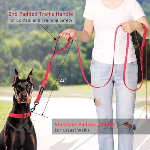 Plutus Pet Double Handle Dog Leash, 6 FT Long, for Medium Large Dogs