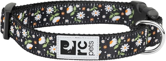 RC Pets Clip Collar | Reflective Label for Visibility Adjustable Comfortable & Secure Fit | Daisies, Medium, 1-Inch