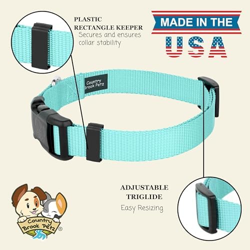 Country Brook Petz - Everyday Nylon Dog Collar for Large, Medium, and Small Dogs and Puppies - for Everyday Use in 30+ Colors (Medium, 3/4 Inch Wide, Light Cyan)