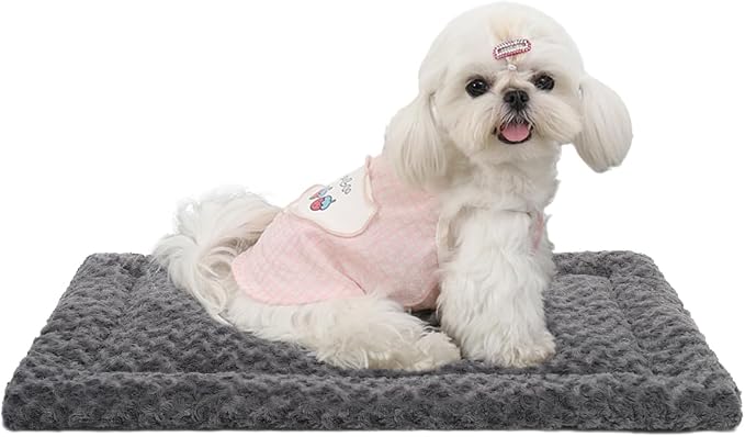 Exsnugy Washable Dog Bed Mat Medium Size Fluffy Pet Crate Pad 21x13 | Non-Slip Bottom Kennel Beds Ultra Soft Comfy Sleeping Mattress for Large Medium Small Dogs Gray