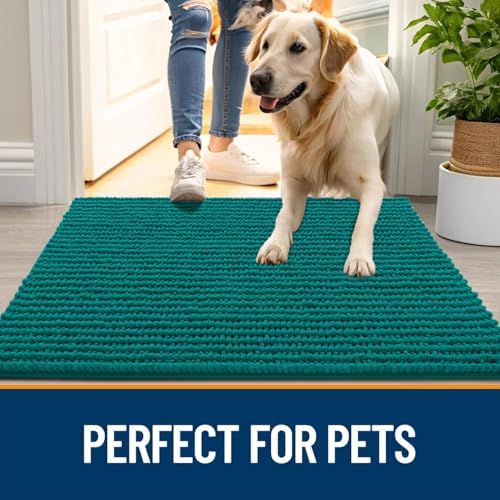 OLANLY Dog Door Mat for Muddy Paws 30x20, Extra Absorbent Chenille Mud Mat