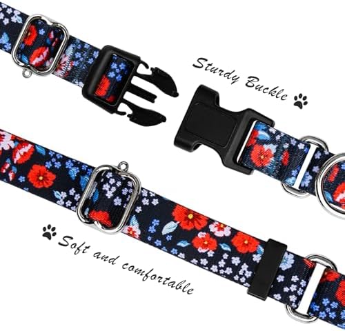 Hikiko Martingale Collar for Dogs with Special Pattern,Adjustable,M