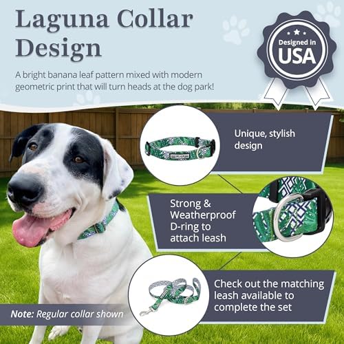 Lucky Love Dog Collar and Leash Set for Small Dogs – Blue Laguna, Small