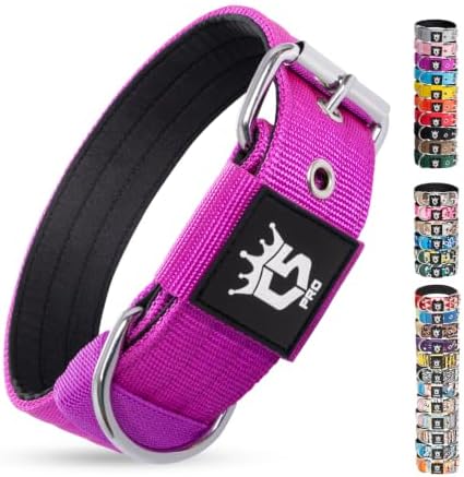 TSPRO Heavy Duty Thick Dog Collar with Metal Buckle for Small Dogs