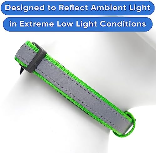 Pawtitas Personalized Padded Reflective Puppy Collar with Name Phone Number - Adjustable Customized Green Large Dog Collar