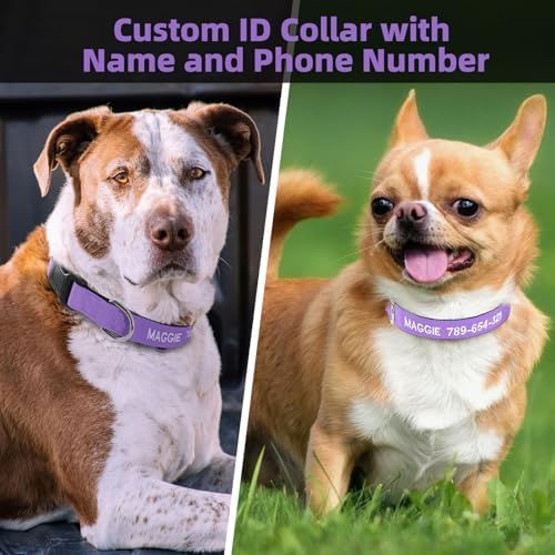 Kuley Personalized Dog Collar, Embroidered with Pet Name and Phone Number