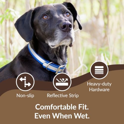 dogIDs Personalized Reflective Waterproof Dog Collar - Custom, Durable, Adjustable, Odor Resistant, Safe, Engraved - Blue, 1 in x 16 in (Fits Neck Sizes: 14-18 in)
