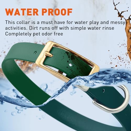 Viper Biothane Heavy Duty Waterproof Dog Collar Strong Coated Nylon Webbing w/Solid Brass Hardware Odor-Proof Easy to Clean High Performance Fits Small Medium or Large Dogs, Hunter Green