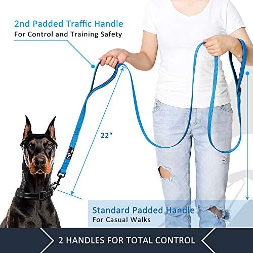 Plutus Pet Double Handle Dog Leash, 6 FT Long, for Medium Large Dogs