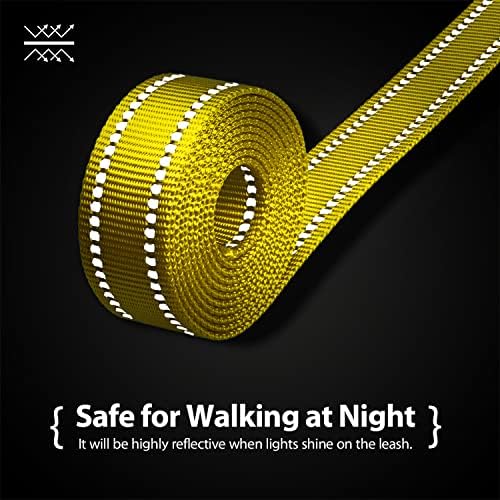 PHOEPET 5 Feet Dog Leash - Dual-Side Reflective - Soft Padded Handle