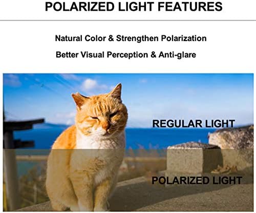 Expandable Backpack to Carry Cat, Fit up to 12 lbs, Space Capsule Astronaut Polarized Tinted Brown Bubble Window Pet Backpack Carrier for Kitten Bunny and Small Puppy Vet Visit